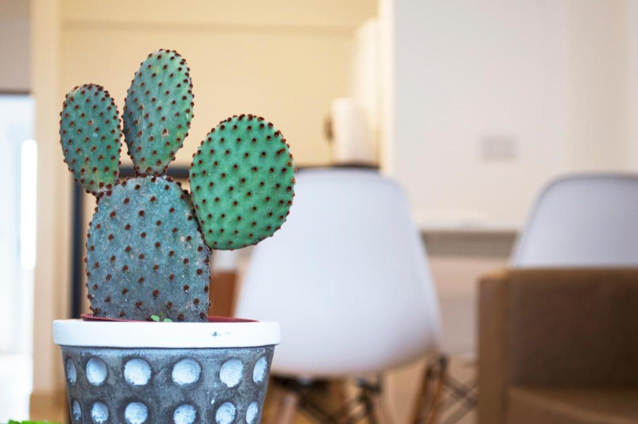 Cactus 2 Daire Salta Dış mekan fotoğraf