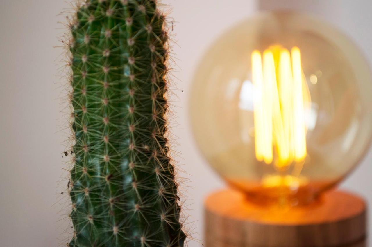 Cactus 2 Daire Salta Dış mekan fotoğraf